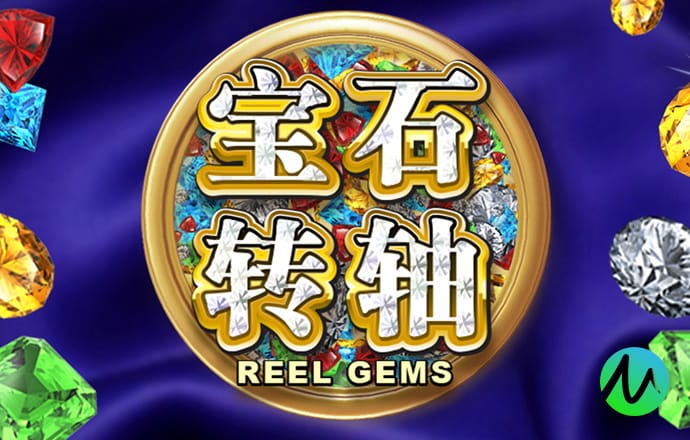 2024澳门精准正版资料